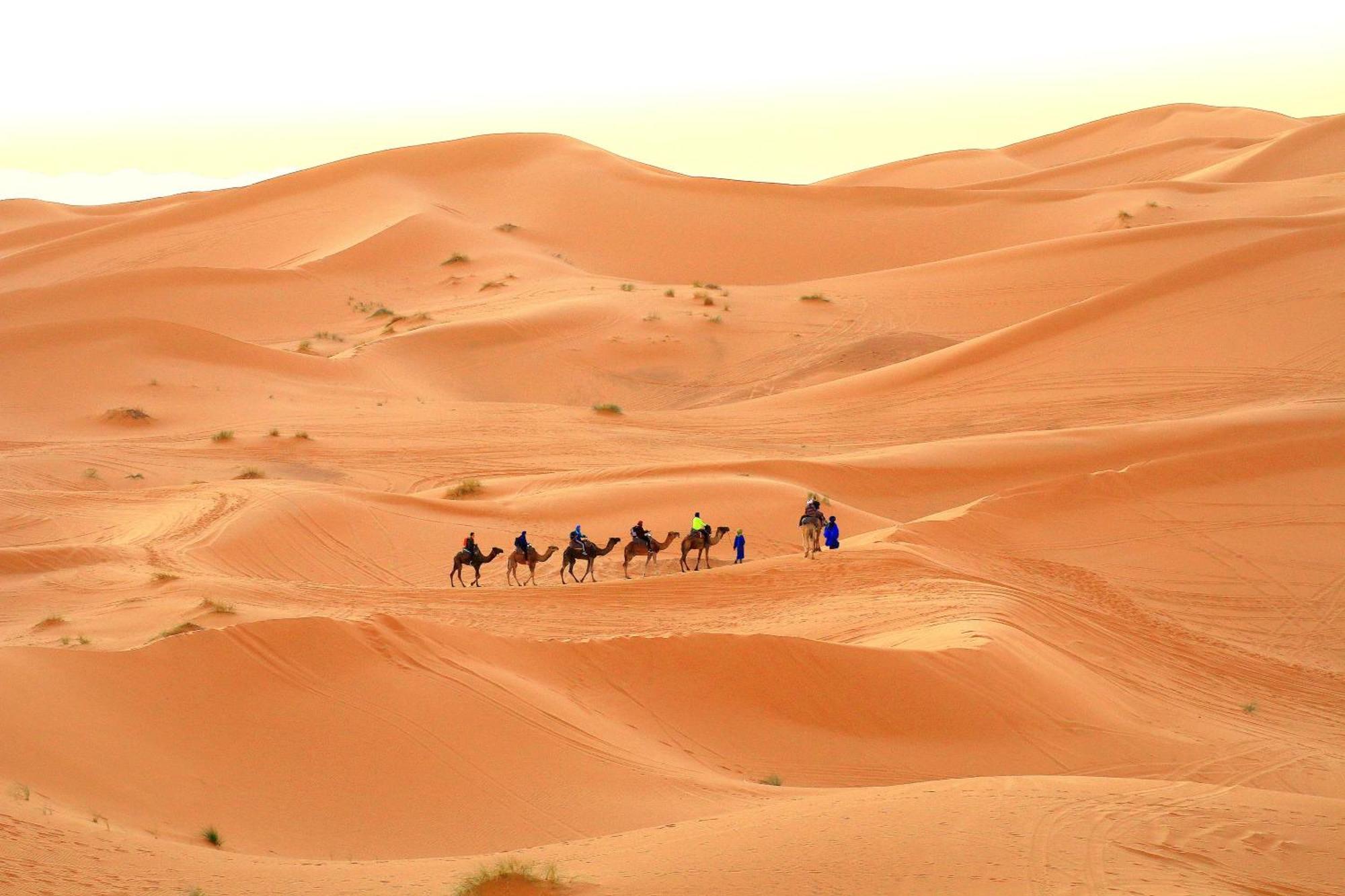 Tafouyte Luxury Camp Merzouga Quarto foto